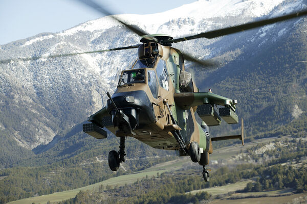 Tiger in front of mountains